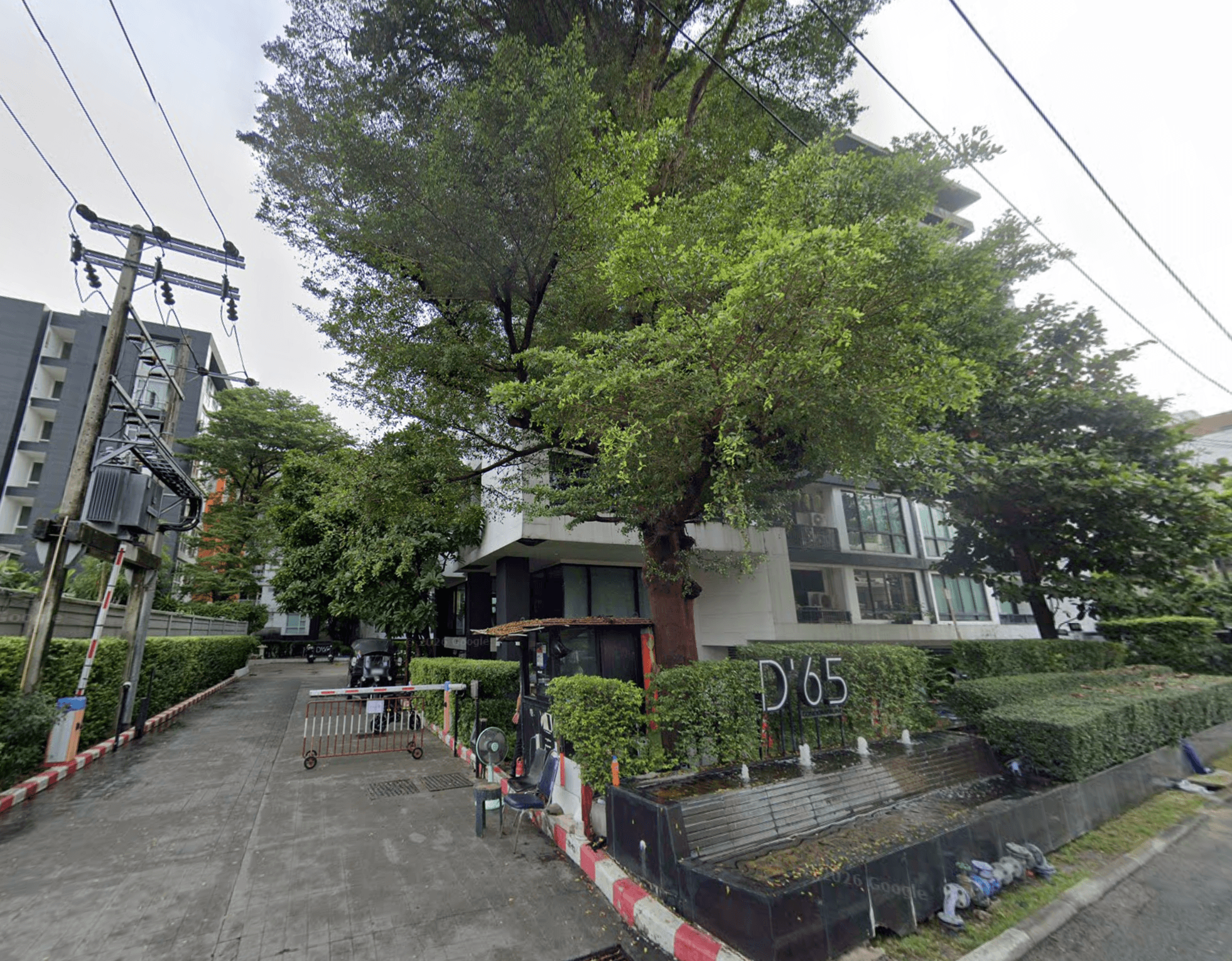 D65 Condominium - Main Image