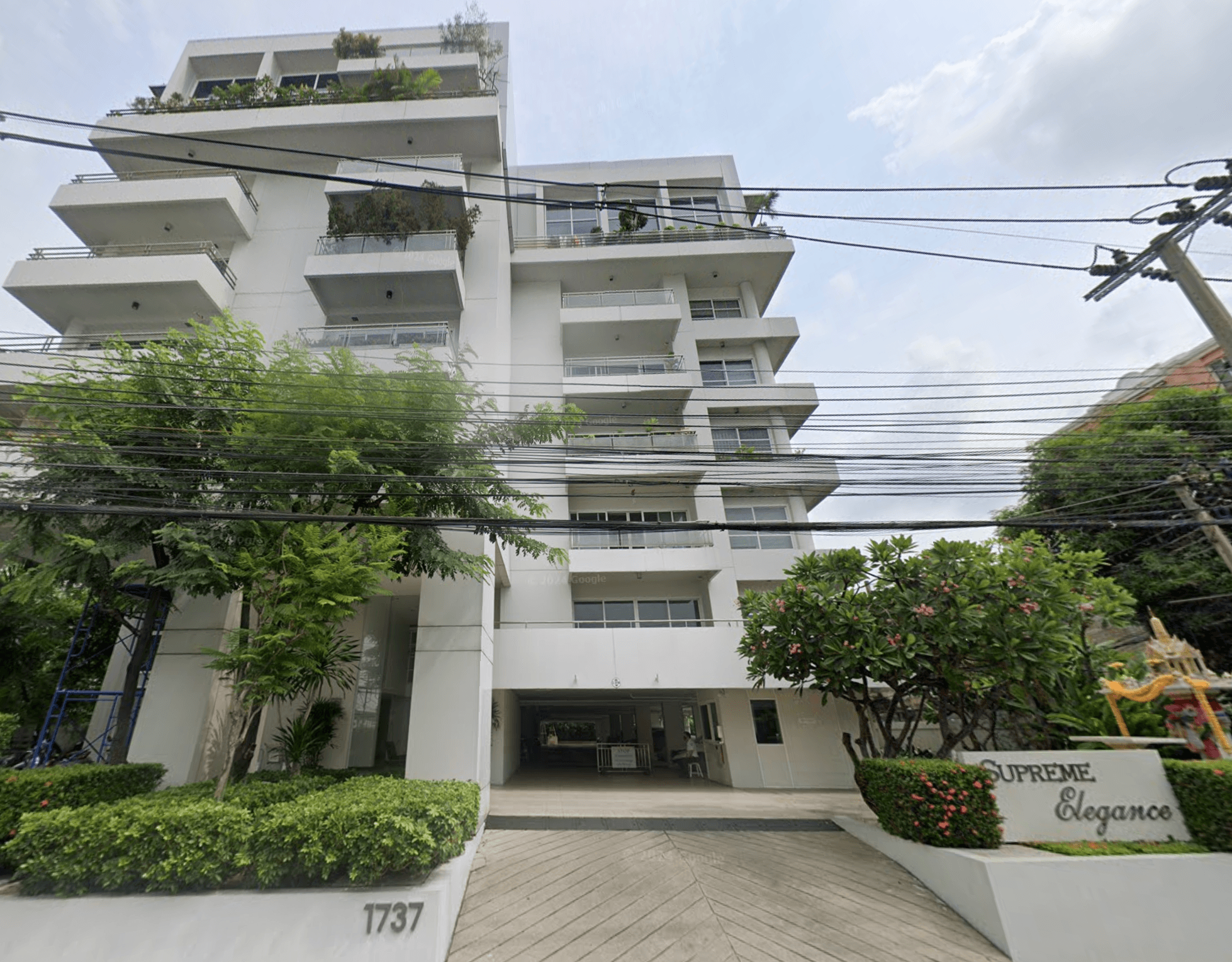 Supreme Elegance - Main Image