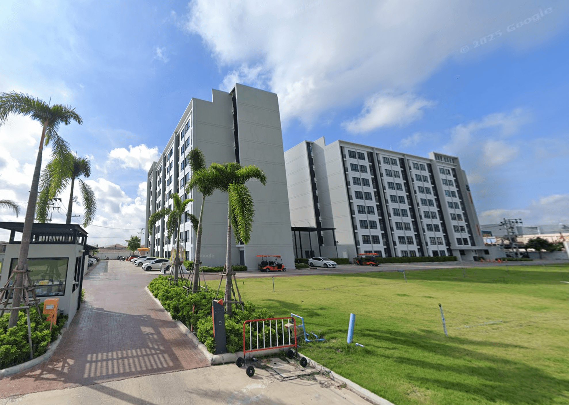 The midd - Main Image